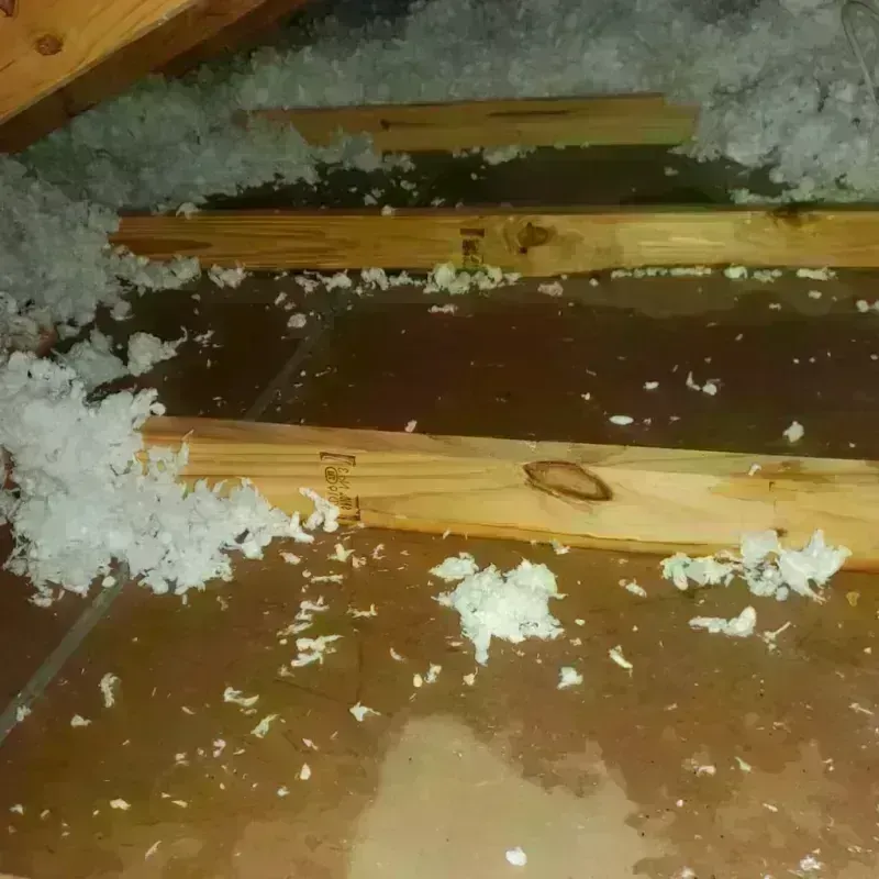 Attic Water Damage in Port Morris, NY